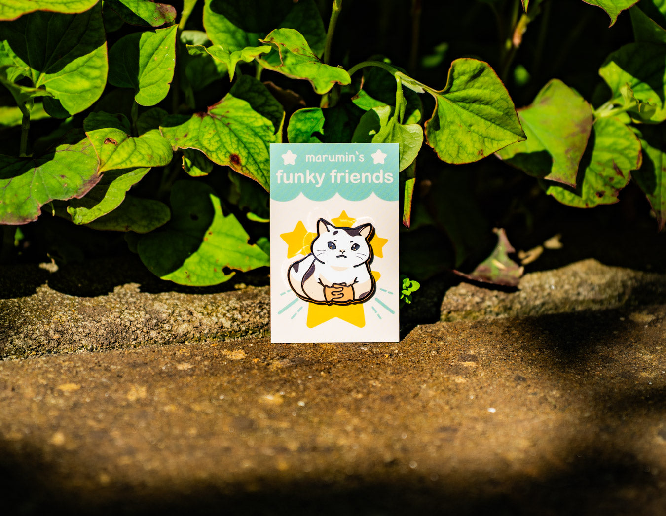 Meme Cat Enamel Pins