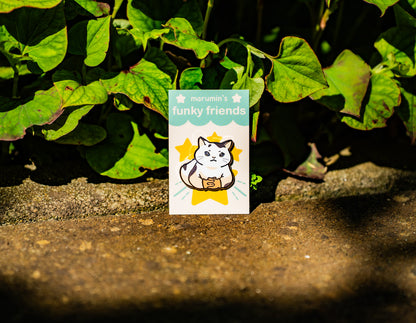 Meme Cat Enamel Pins