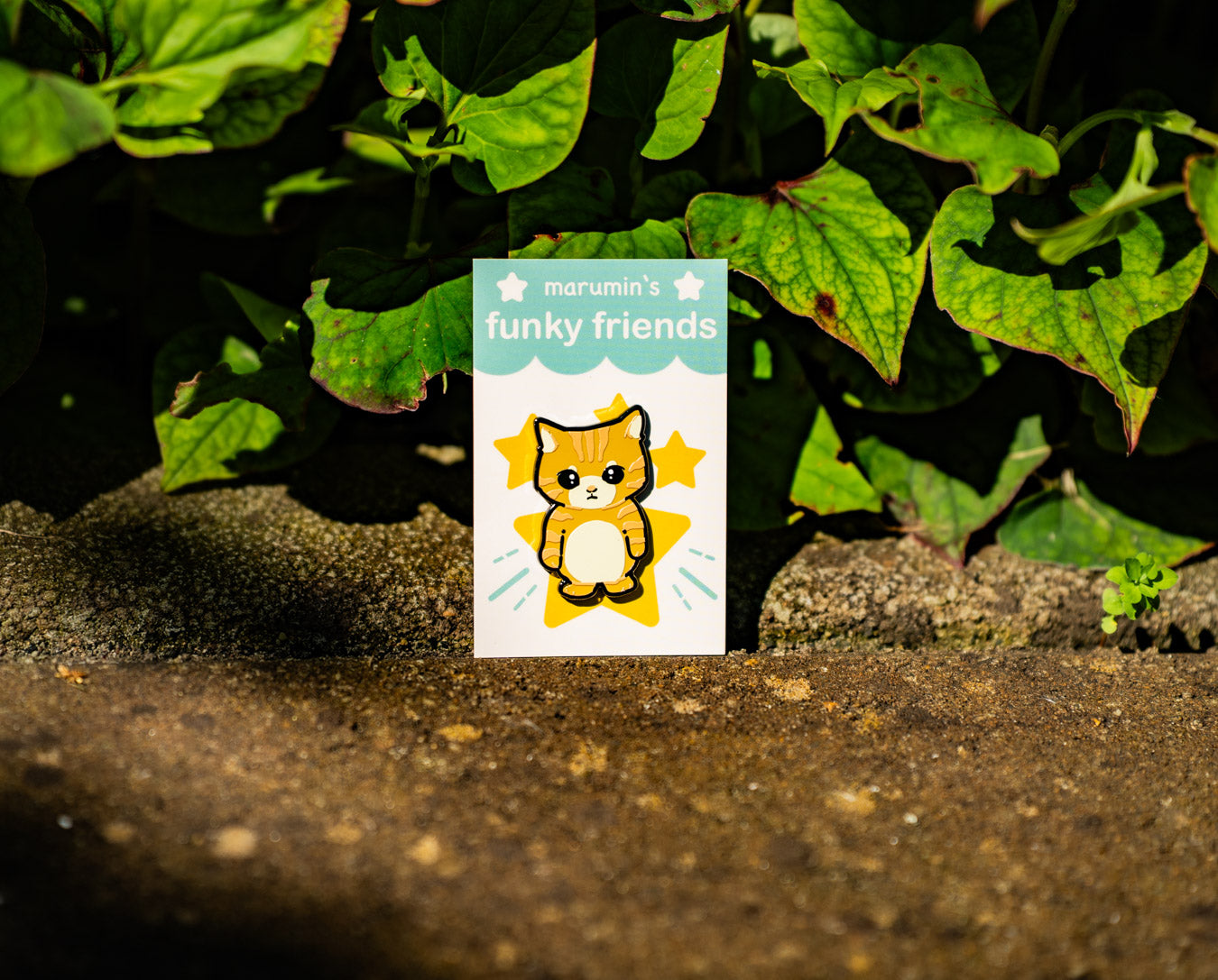 Meme Cat Enamel Pins