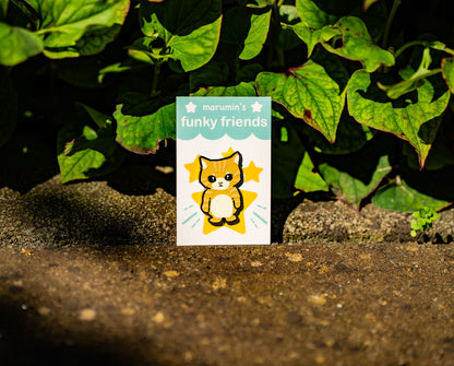 Meme Cat Enamel Pins