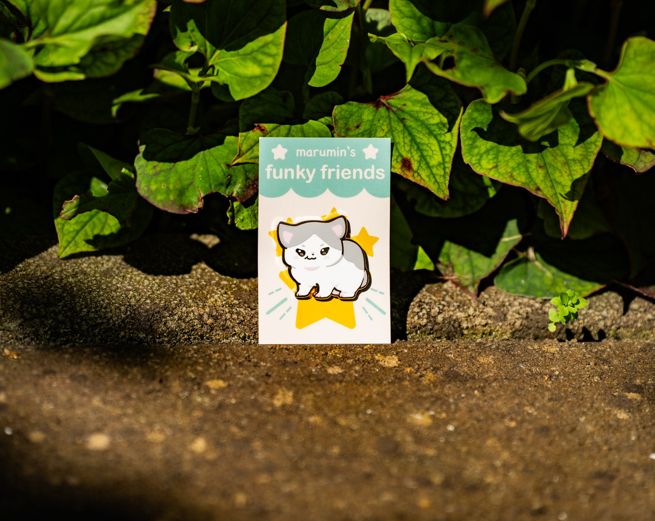 Meme Cat Enamel Pins