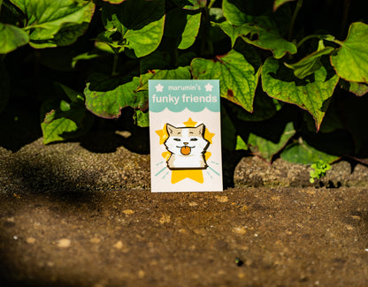 Meme Cat Enamel Pins