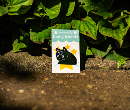 Meme Cat Enamel Pins