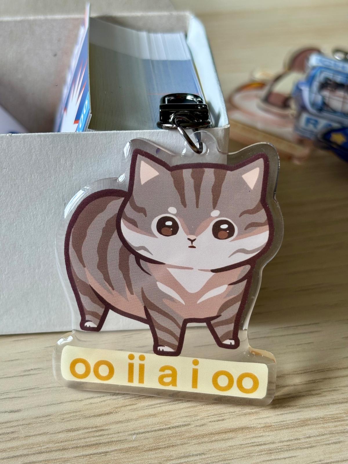 Cat Meme Acrylic Charms