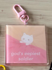 Cat Meme Acrylic Charms
